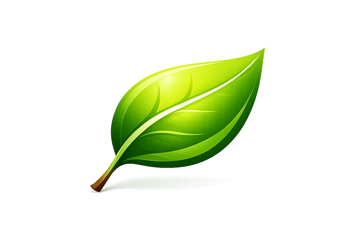 Leaf